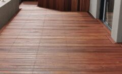 WhatsApp Image 2026-02-19 at 12.20.50