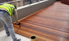 WhatsApp Image 2026-02-19 at 12.25.30n