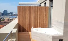 WhatsApp Image 2026-02-19 at 12.25.33