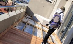 WhatsApp Image 2026-02-19 at 12.25.33h