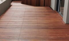 WhatsApp Image 2026-02-19 at 12.25.34g