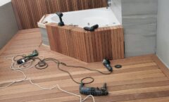 WhatsApp Image 2026-02-19 at 12.25.35