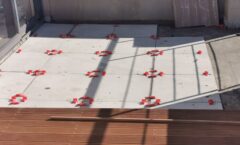 WhatsApp Image 2026-02-19 at 12.25.37